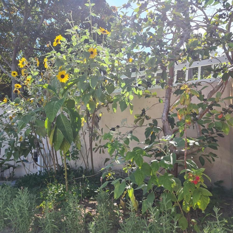Casa Da Piscina *